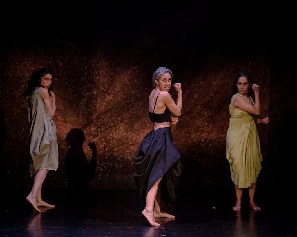 Lara Arabian, Michelle Polak, and Liliana Suarez Henao posing with their biceps. Stage photo.