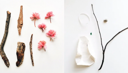 Assorted sticks and flowers.