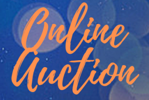 Online Auction