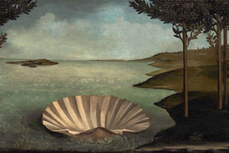 Aphrodite's clam shell, abandoned and empty.