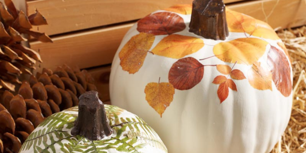 Two decorated white pumpkins.