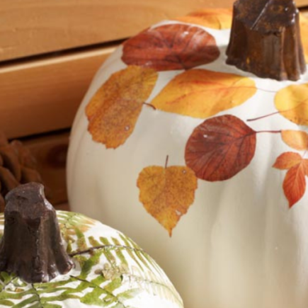 Two decorated white pumpkins.